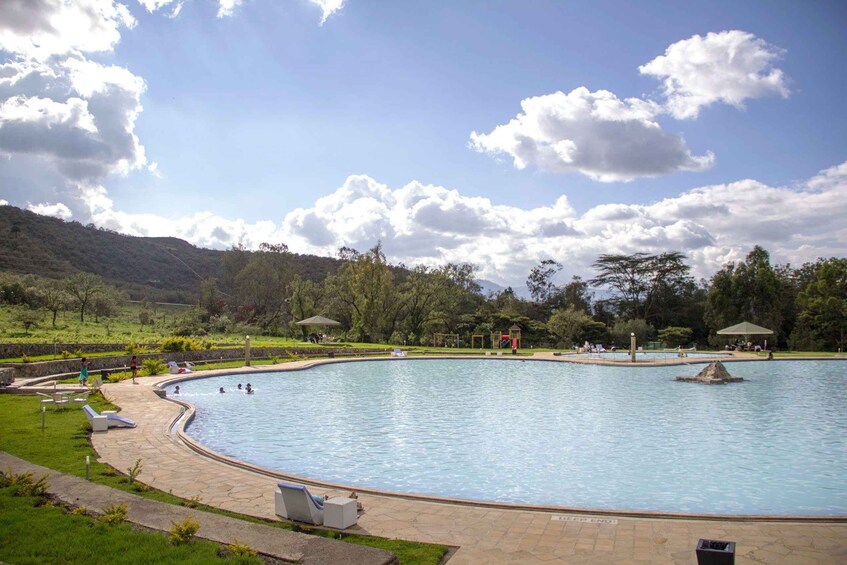 A large outdoor swimming pool surrounded by grass, trees, and a stone pathway. 3