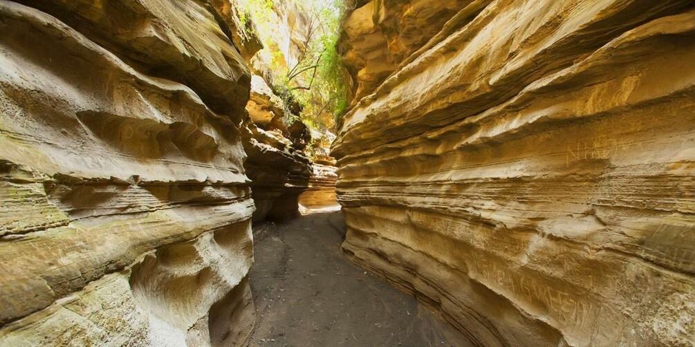A narrow canyon with layered rock formations and a dirt path. 5