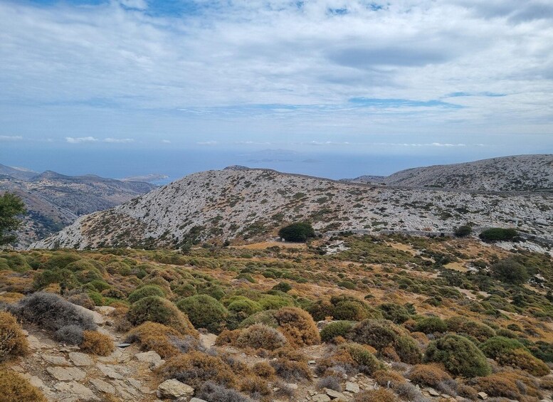 Picture 9 for Activity Naxos: Mount Zeus Guided Hike Experience 4