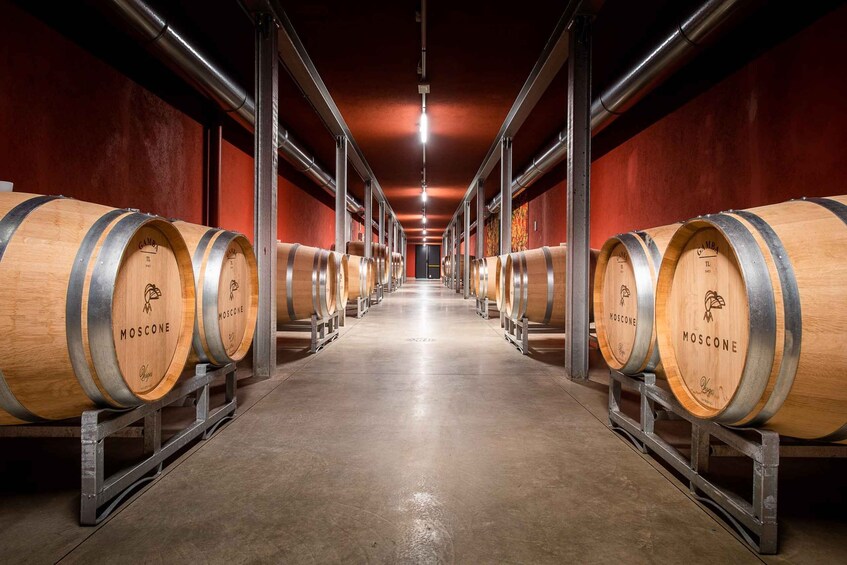 A row of wooden wine barrels in a dimly lit warehouse. 2