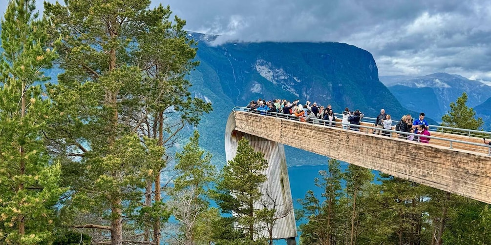 Picture 34 for Activity Bergen: Flam Railway, Stegastein View Point and Fjord Cruise 2