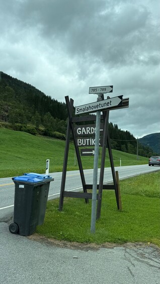 Picture 31 for Activity Bergen: Flam Railway, Stegastein View Point and Fjord Cruise 4