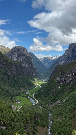 Picture 30 for Activity Bergen: Flam Railway, Stegastein View Point and Fjord Cruise 3