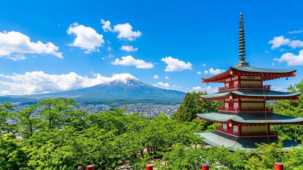 Picture 3 for Activity Mt Fuji Top 6 Spots Day Tour:Arakurayama Park,OshinoHakkai 5