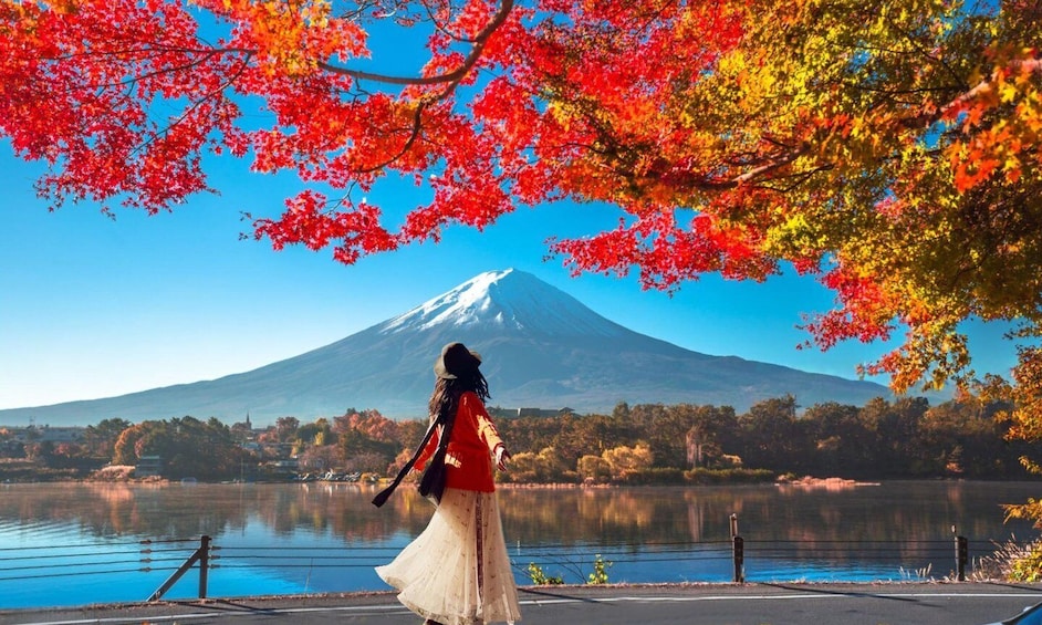 Tokyo: Mt Fuji & Oishi Park & Lake Kawaguchi & Oshino Hakkai 1