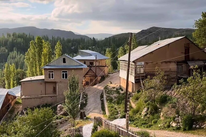 A rural village with houses, a dirt road, and mountains in the background. 2
