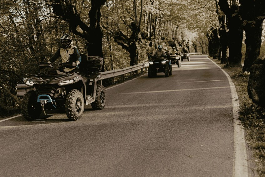 Picture 3 for Activity Bled: Scenic 2 hour QUAD tour 3