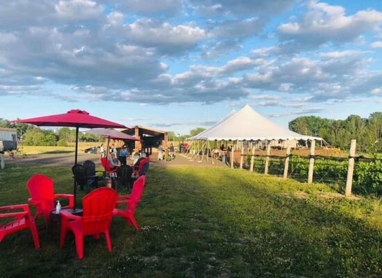 A picnic area with red chairs and a red umbrella, a white tent, and a grassy field with trees in the background. 4