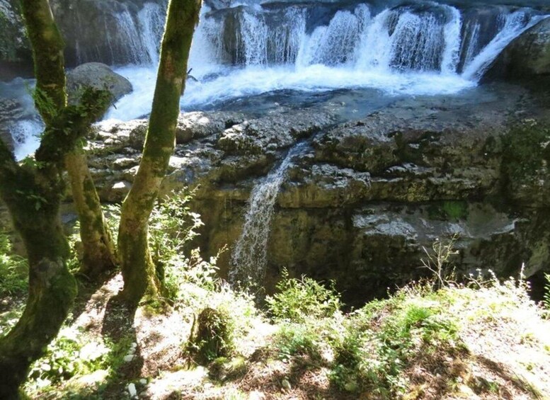 Una cascada se precipita sobre terreno rocoso, rodeada de árboles y vegetación. 5