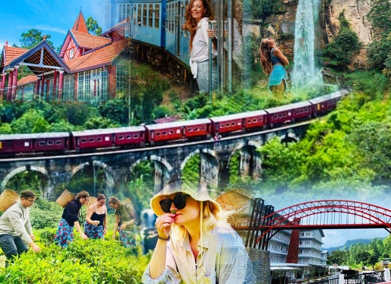 Kandy to Nanuoya or Ambewela Drop Tour & Ella Train Journey 2