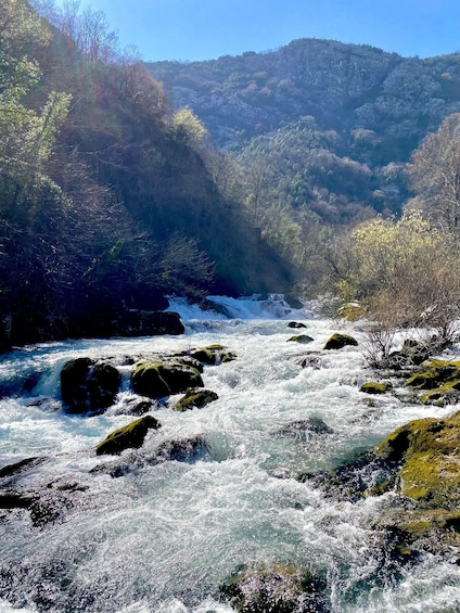 Montenegro: Crnojević River and Obod Cave Tour 1