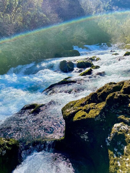 Picture 1 for Activity Montenegro: Crnojević River and Obod Cave Tour 3