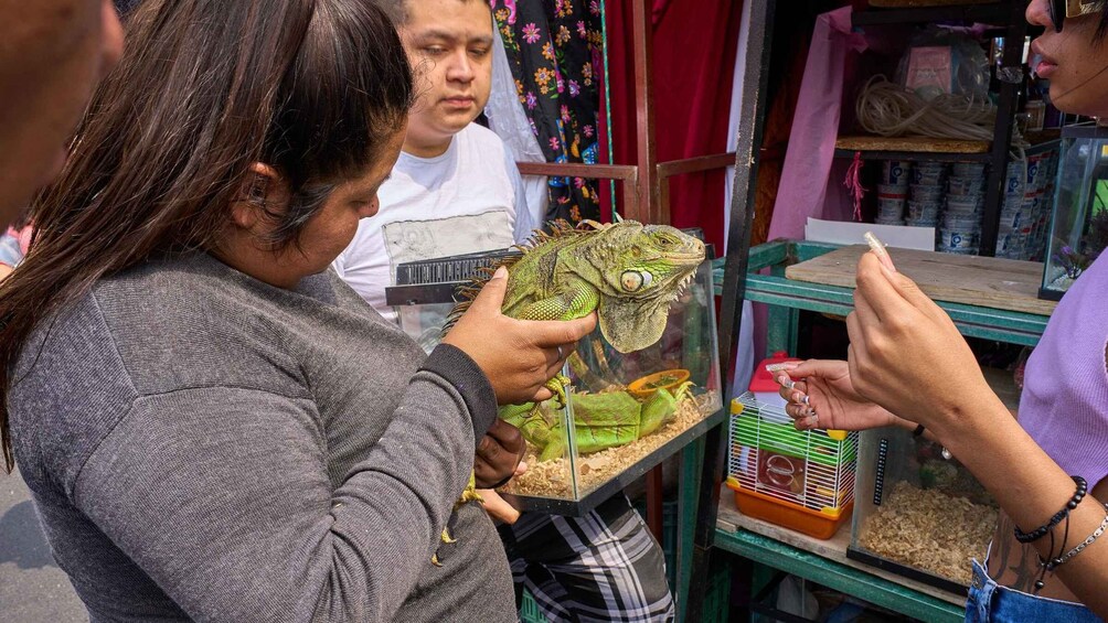 Picture 3 for Activity Puebla: Street Markets Private Tour – The Mexican Experience 2