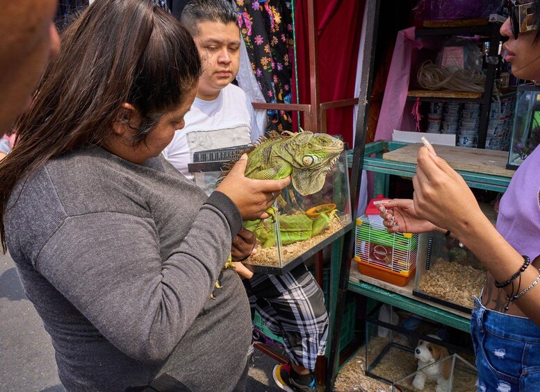 Picture 3 for Activity Puebla: Street Markets Private Tour – The Mexican Experience 2