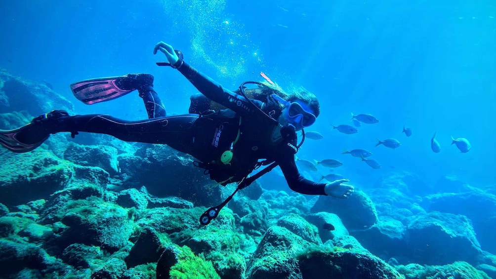 Picture 9 for Activity Tenerife south: Scuba Dive for beginners in Adeje 4