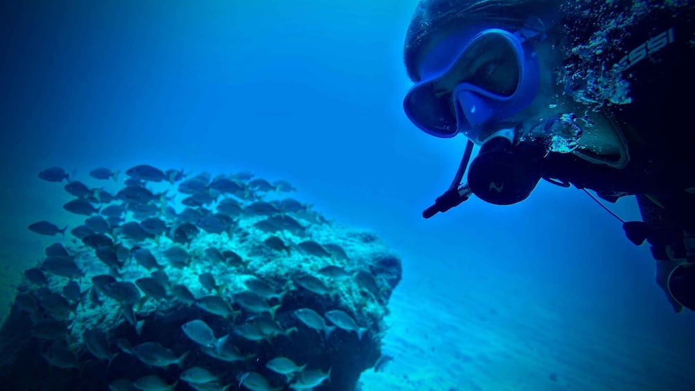 Picture 7 for Activity Tenerife south: Scuba Dive for beginners in Adeje 3