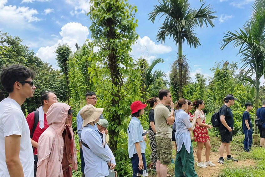 A group of people standing outdoors, surrounded by lush greenery and palm trees. 5