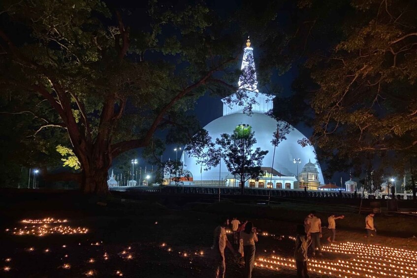 A large illuminated dome structure surrounded by trees at night. 1