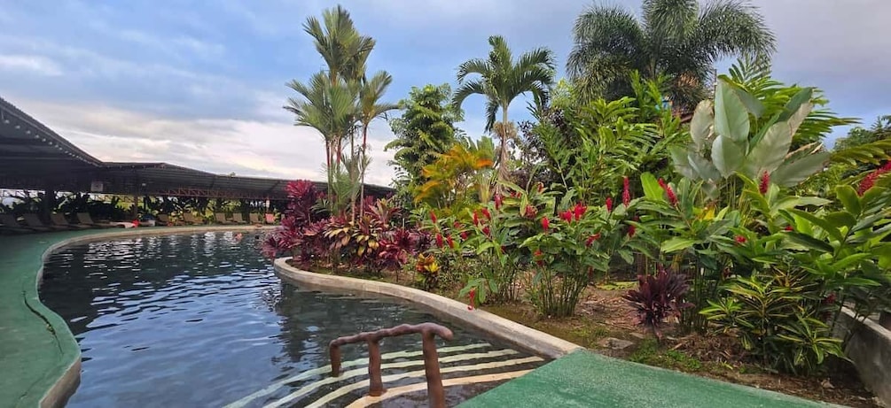 A swimming pool surrounded by tropical plants and palm trees. 2