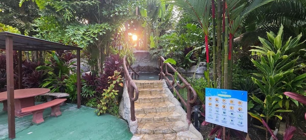 A stone staircase leading to a covered area with a table and chairs, surrounded by lush tropical vegetation. 4