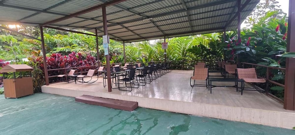 An outdoor covered seating area with chairs and tables, surrounded by lush tropical vegetation. 5
