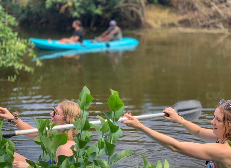 Personas remando en un río tranquilo bordeado de vegetación. 2
