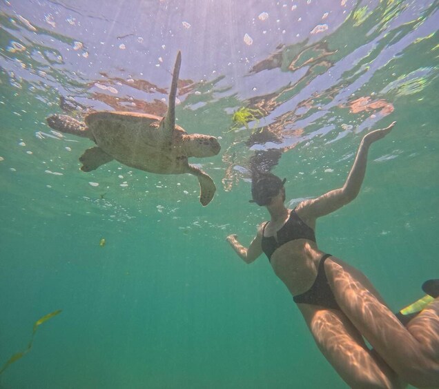 Una persona nadando bajo el agua con una tortuga marina. 5
