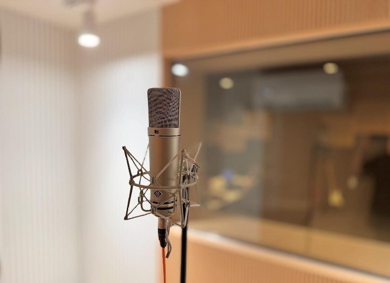 A microphone with a pop filter in a recording studio. 1