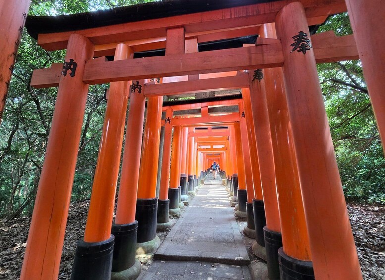 Picture 2 for Activity Kyoto: Fushimi Inari Shrine and Mount Inari Tour 4