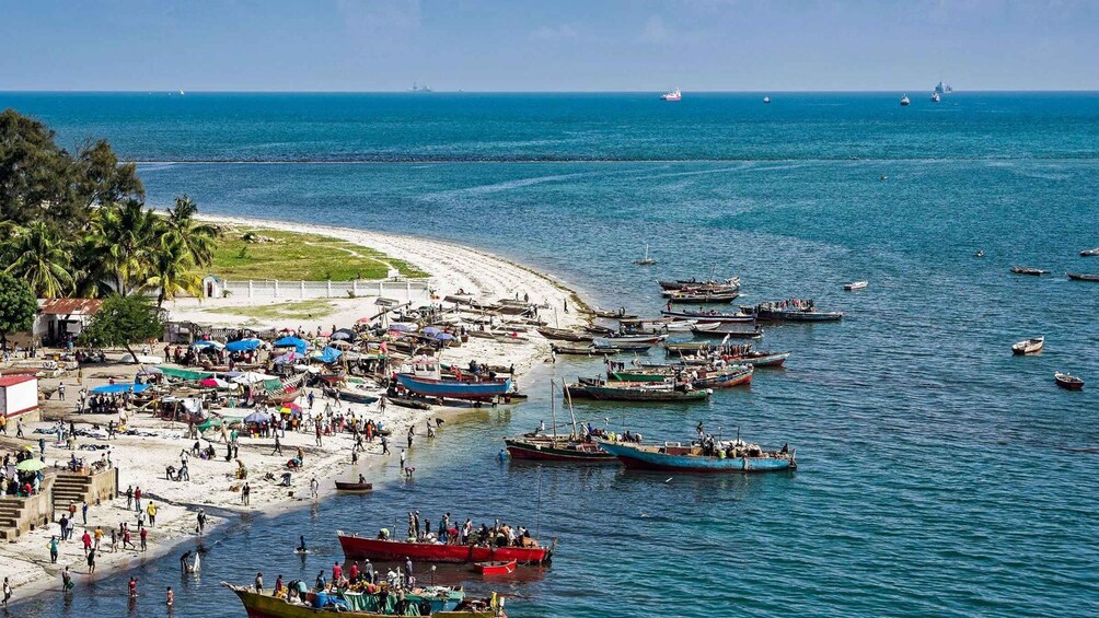 Dar es Salaam:City touring with a guide 1