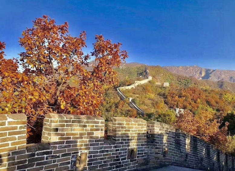 The Great Wall of China, autumn foliage, and mountainous terrain. 3