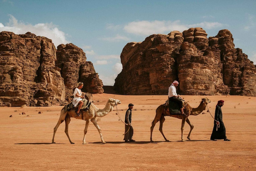 A desert landscape with rocky formations and camels. 5