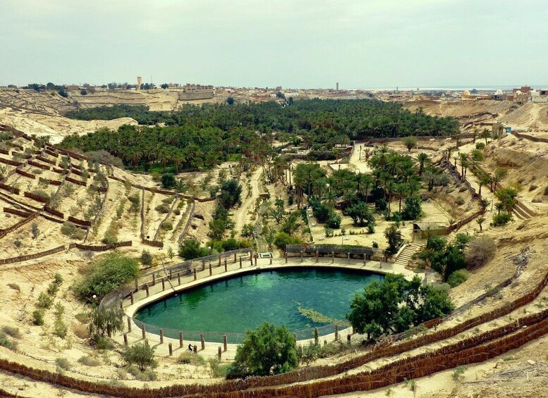 A large, oval-shaped pool surrounded by terraced gardens and palm trees. 4