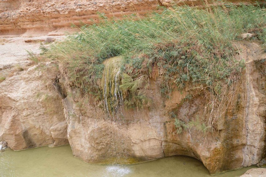 A rocky cliff with green vegetation and a small stream at its base. 3