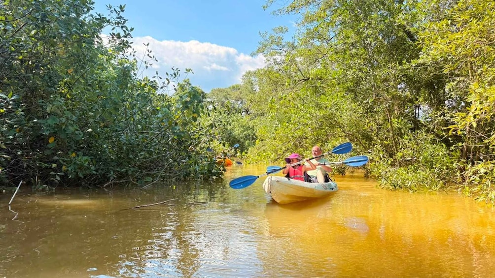 Picture 9 for Activity Samara: Mangrove Kayaking Adventure 3