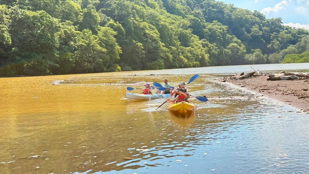 Picture 7 for Activity Samara: Mangrove Kayaking Adventure 2