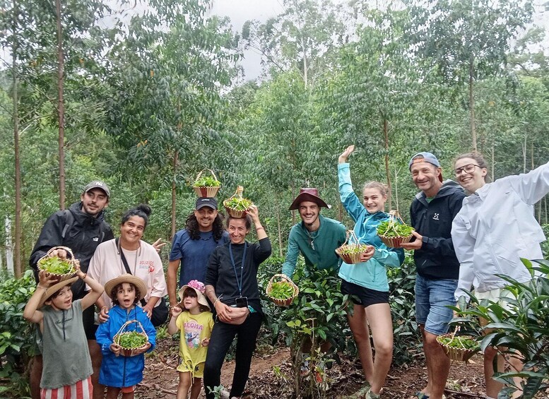 Ella: Ella Tea plantation Tour with Tasting & Snacks 2