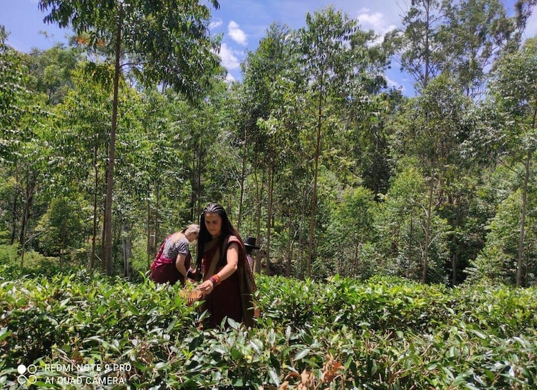 Two individuals in a lush green forest, one holding a camera. 5