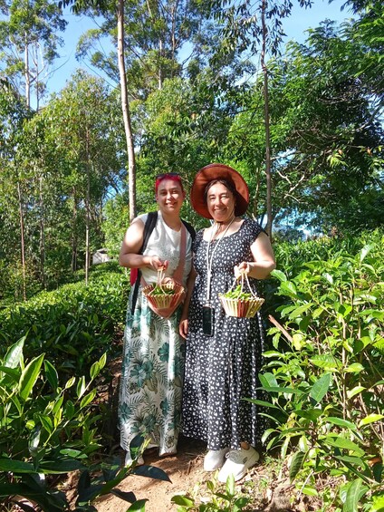 Picture 23 for Activity Ella: Ella Tea plantation Tour with Tasting & Snacks 3