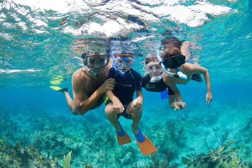 Picture 3 for Activity Fort Walton: Dolphin Discovery and Snorkeling Cruise 5
