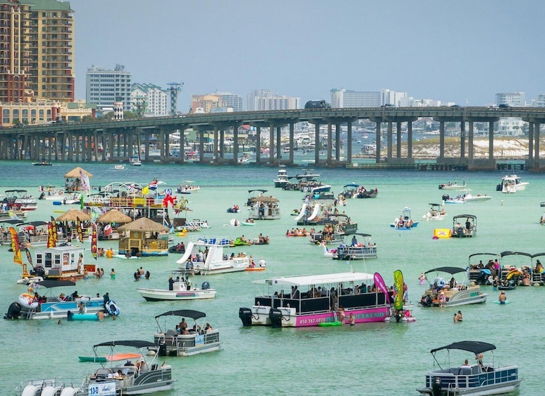 Picture 2 for Activity Fort Walton: Dolphin Discovery and Snorkeling Cruise 2