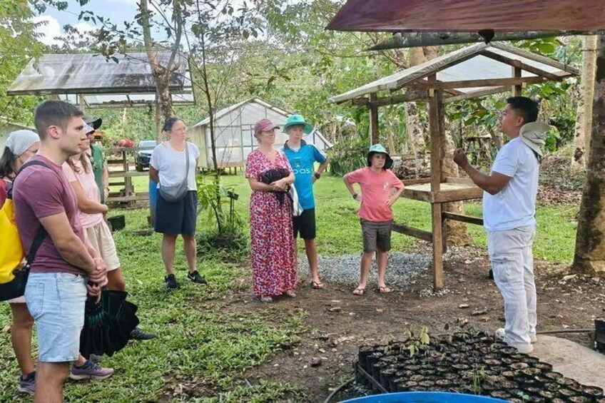 Bohol Chocolate Cacao Farm Tour Tree to Bar 4