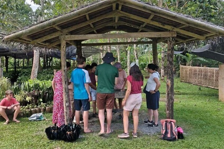 Bohol Chocolate Cacao Farm Tour Tree to Bar 3