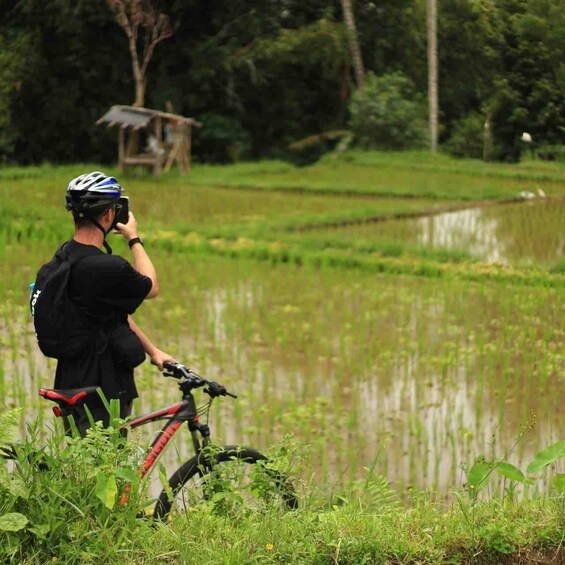 Picture 8 for Activity Ubud: Downhill Cycling Tour Through Jungle and Rice Terraces 2