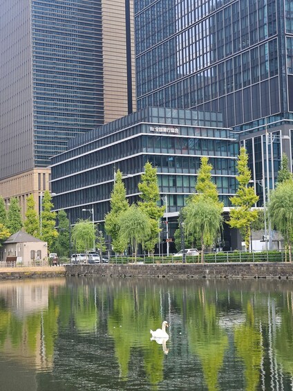 Picture 7 for Activity Tokyo: Imperial Palace-Unveiling Emperors & Samurai Stories 5