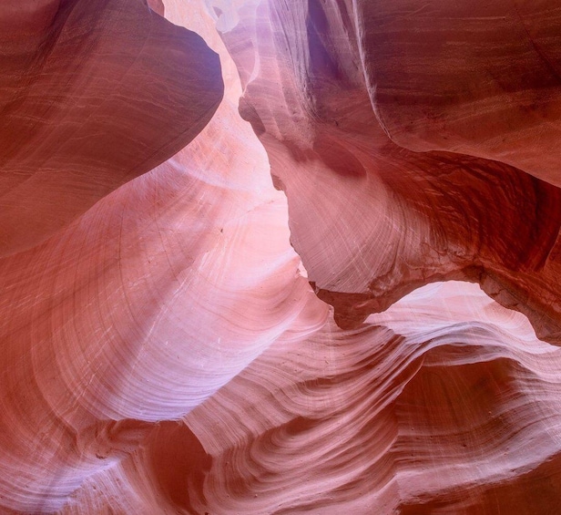 A canyon with smooth, curved rock formations. 2