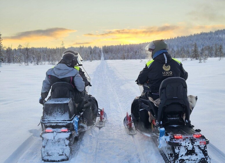 Lapland: Private Snowmobile Safari with arctic Local Guide 1
