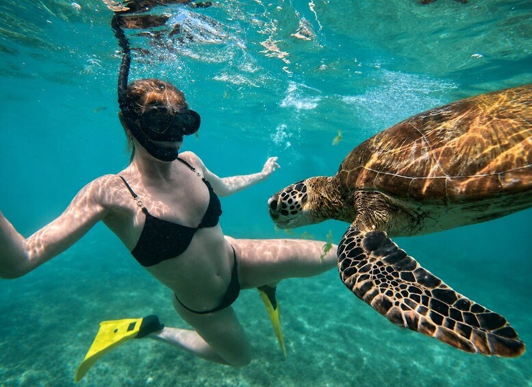 A person snorkeling with a sea turtle. 5