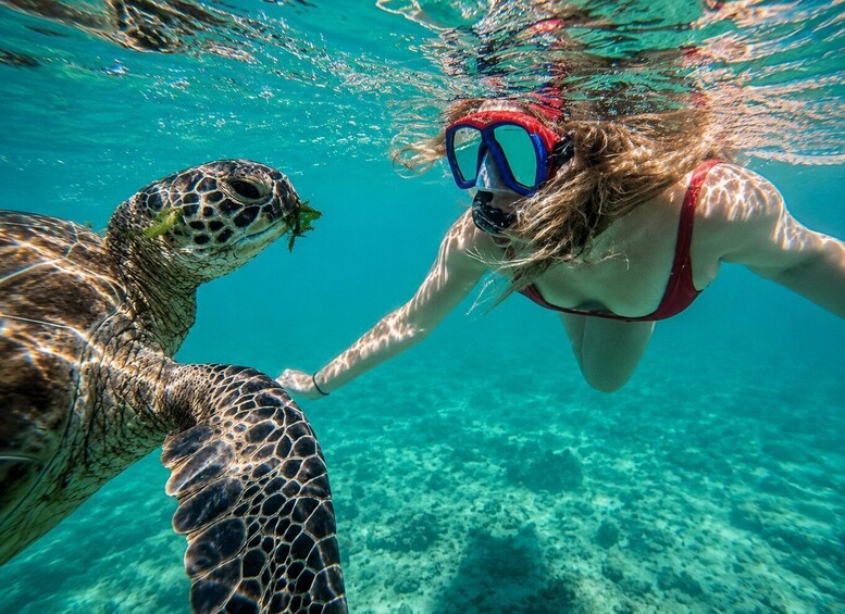 A person snorkeling underwater with a sea turtle. 2