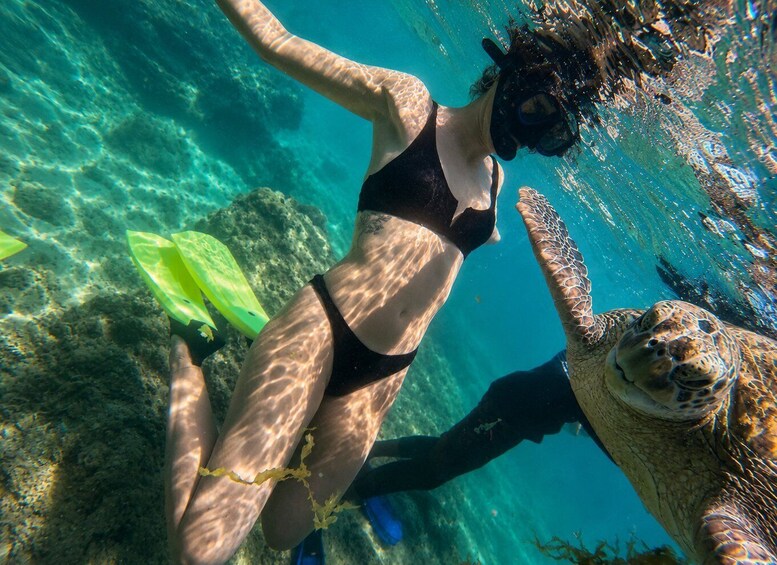 A person snorkeling underwater with a sea turtle. 3